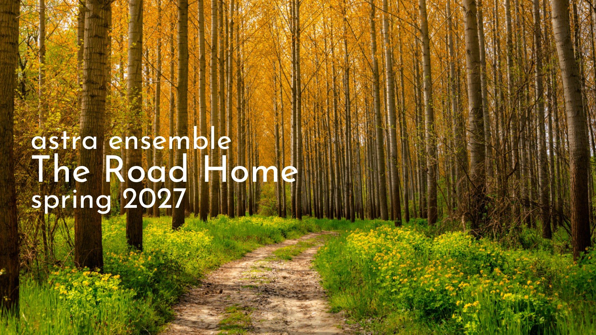 The Road Home